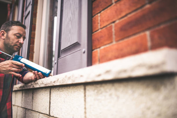 Best Local Insulation Services  in Holcom, KS